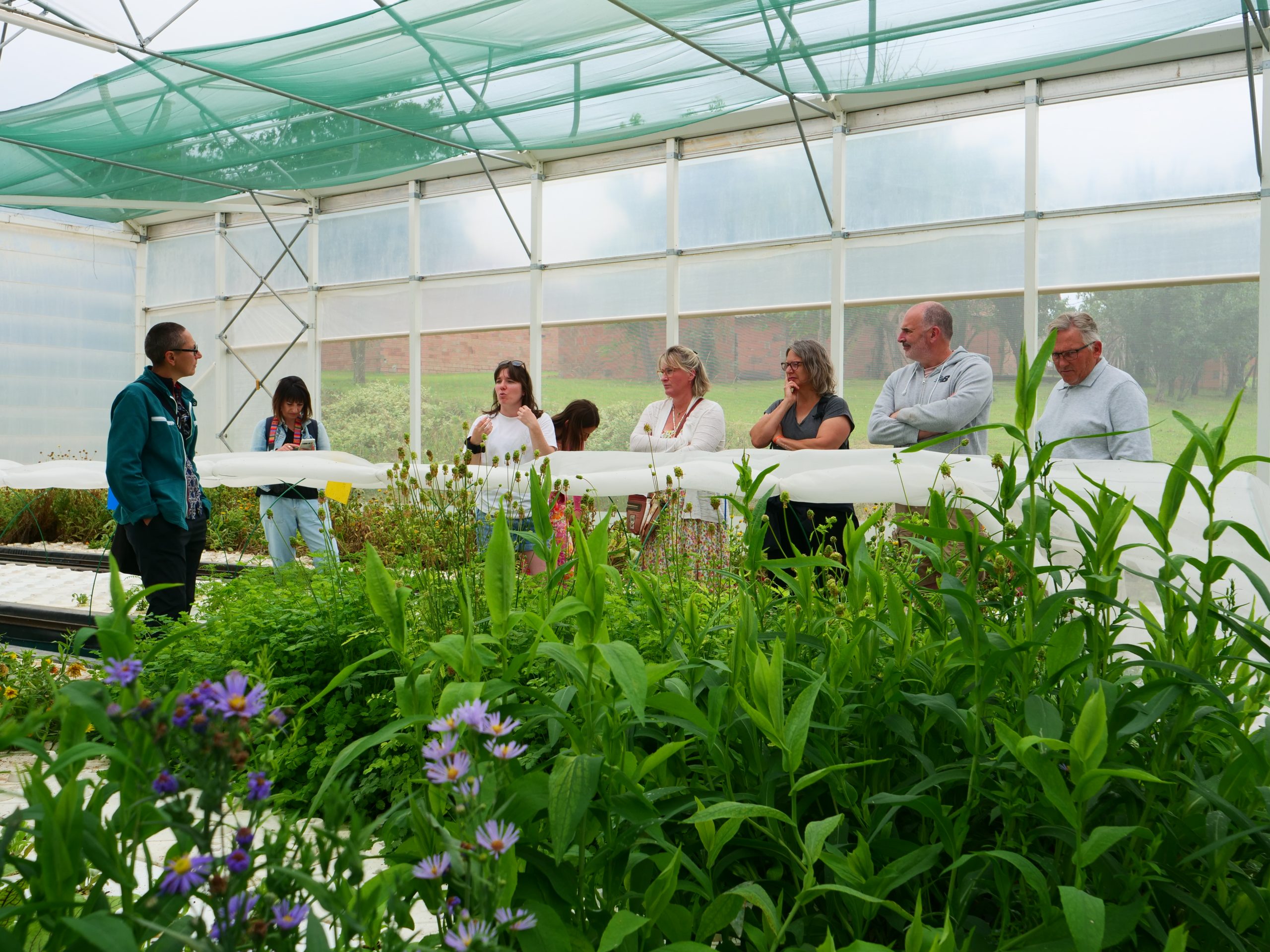 visite guidée grand public juin 2025