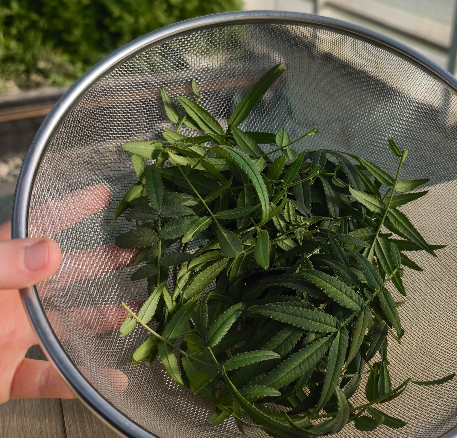 barquette mixte de fleurs comestibles cueillies sur la ferme Mongez-moi